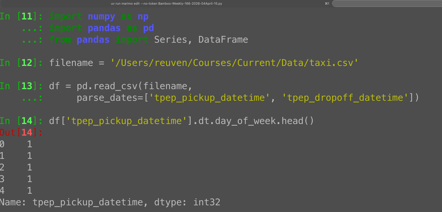 Pandas .dt accessor: Extracting year, hour, and day_of_week